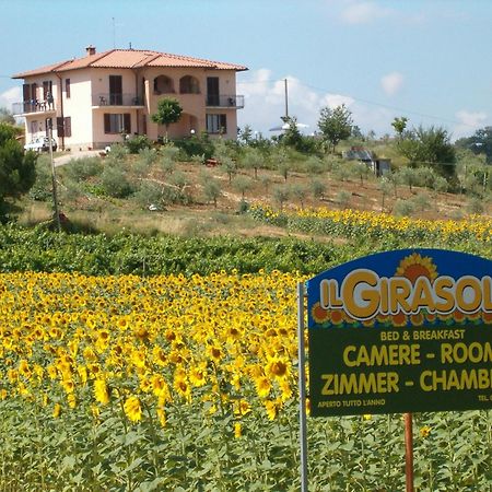 B&B Il Girasole - Rooms & House In Country - 1500 Meters From The City Montepulciano Stazione Exterior foto