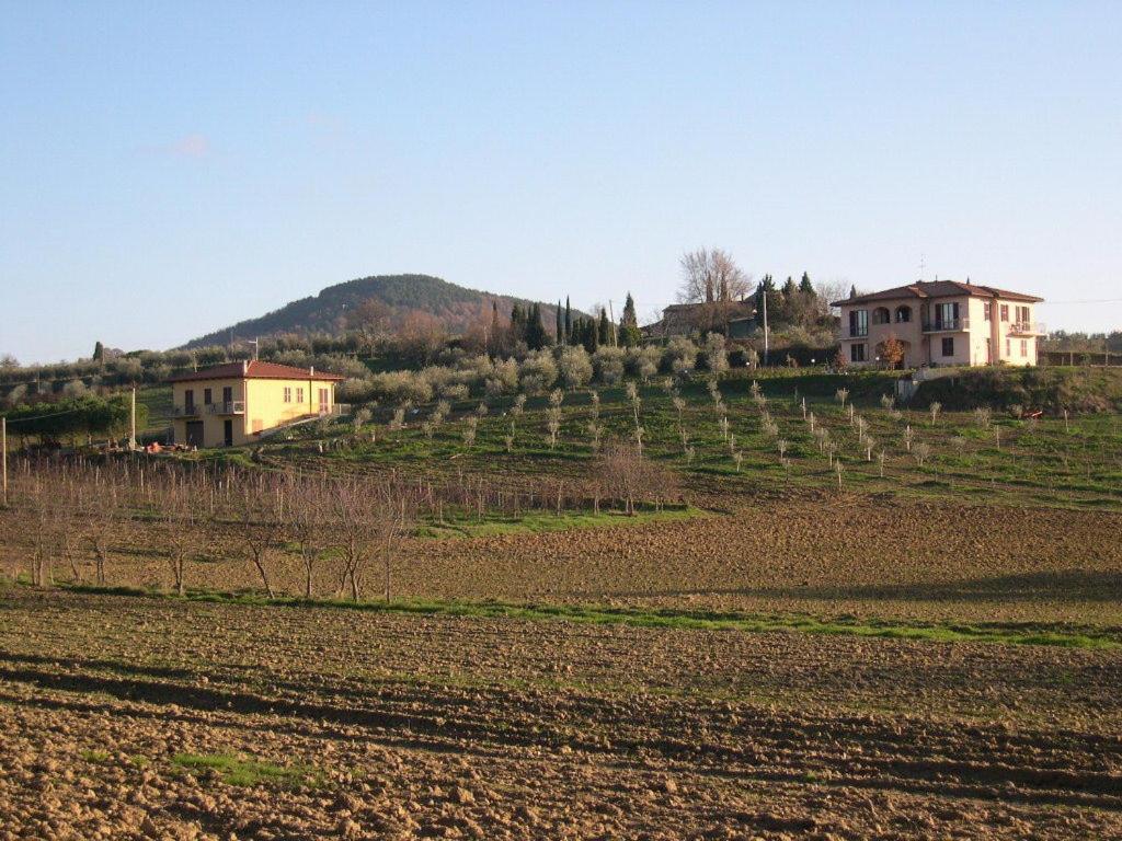 B&B Il Girasole - Rooms & House In Country - 1500 Meters From The City Montepulciano Stazione Exterior foto