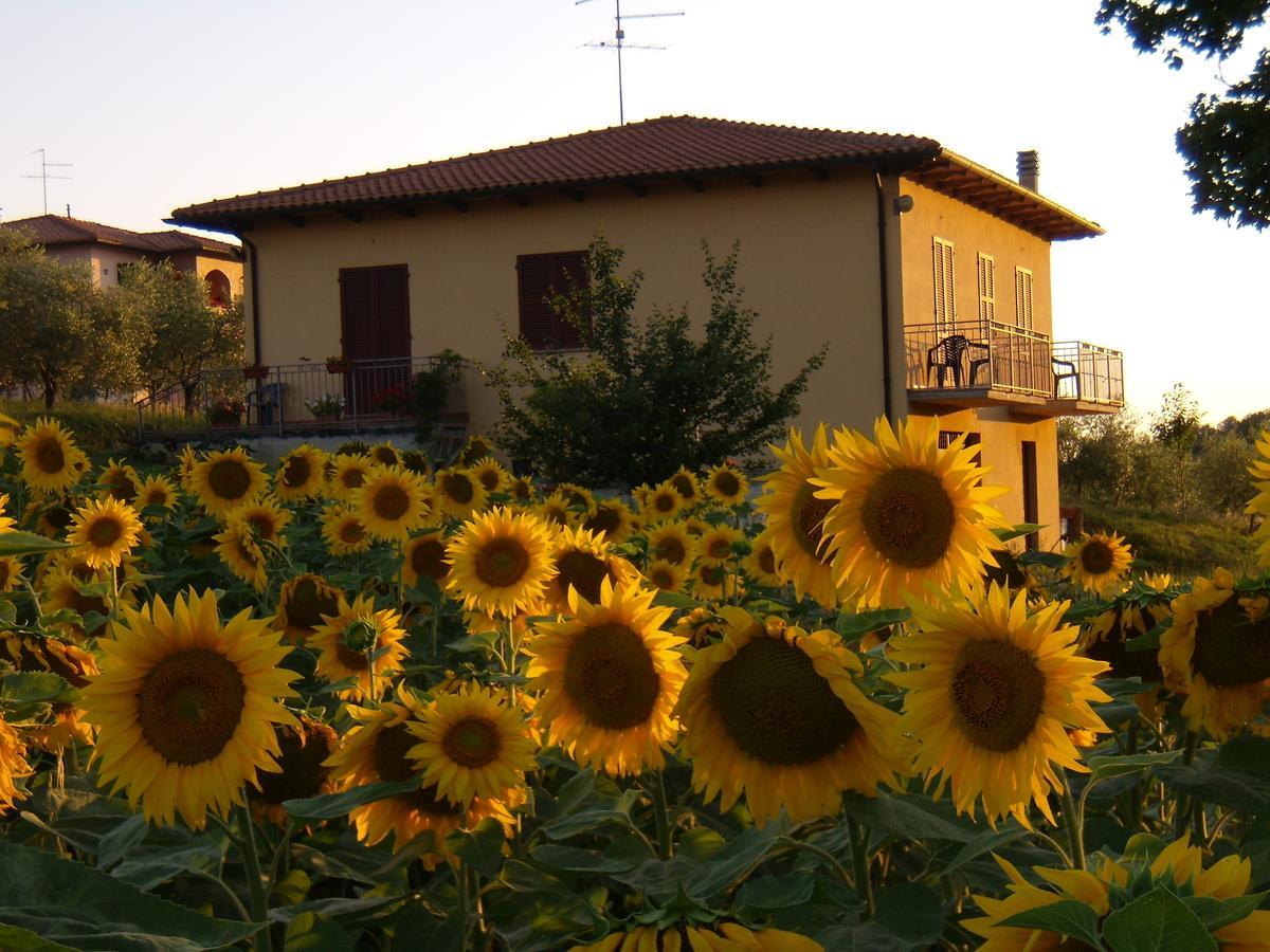 B&B Il Girasole - Rooms & House In Country - 1500 Meters From The City Montepulciano Stazione Exterior foto